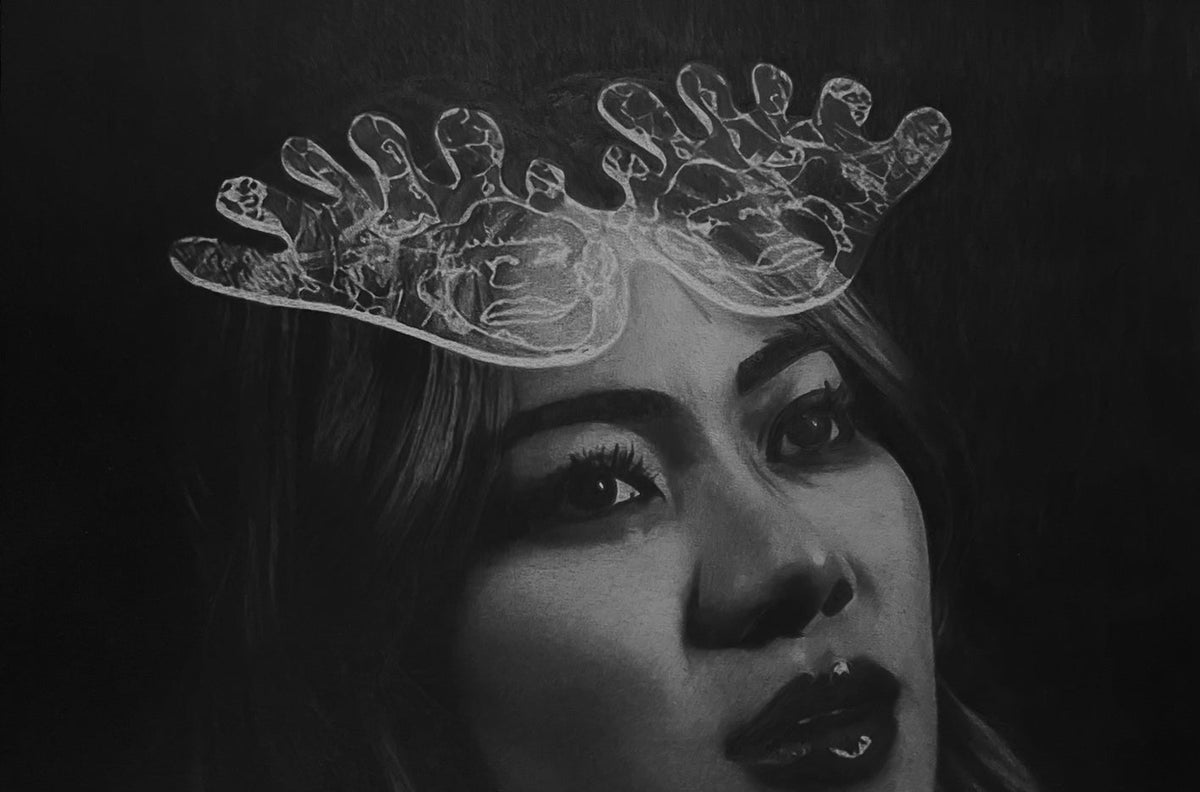 Drawing of Elizabeth Lizzie Jennemann On Paper Using Graphite, Charcoal and Ink by Seth Jennemann. " Lower Your Eyelids To Die With The Sun "
