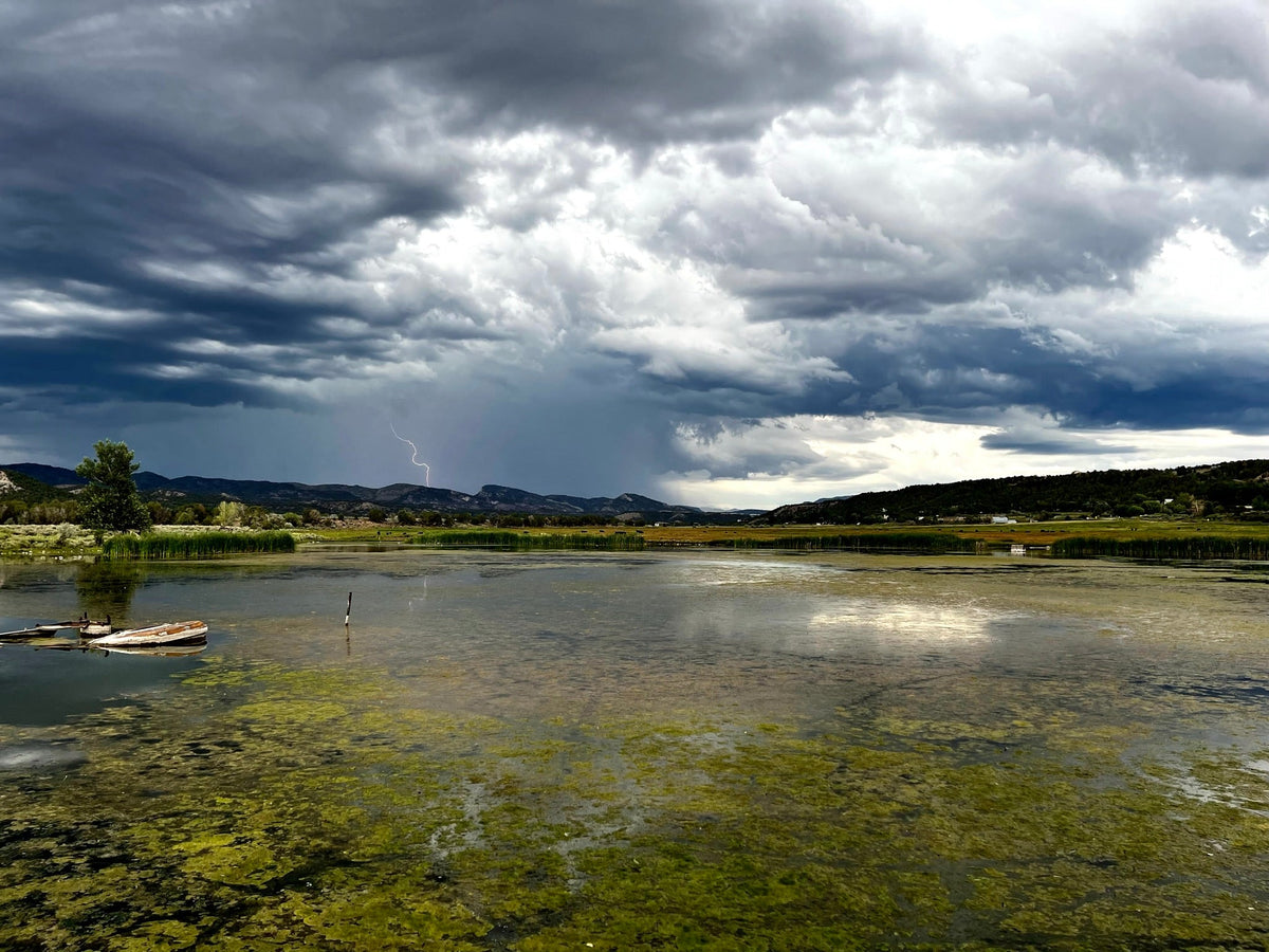 Seth Jennemann | "James Pond 007: Driving Thunder The Influence"