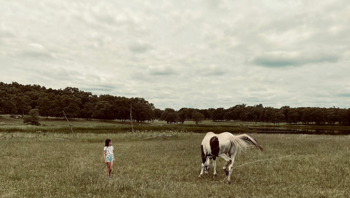Seth Jennemann | "Standing In The Tall Grass..."