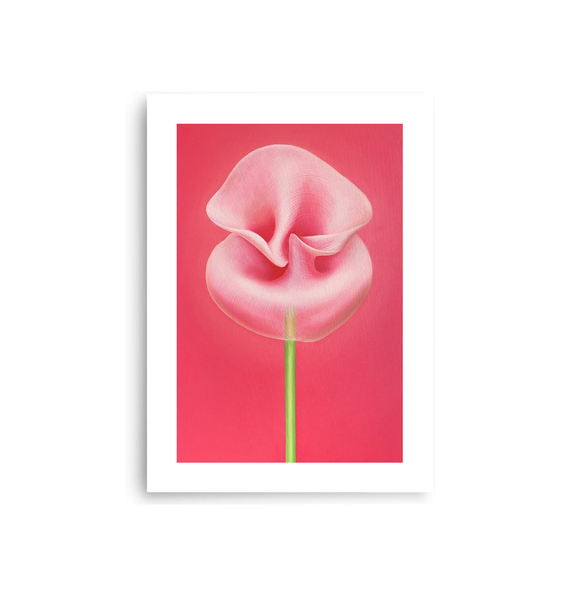 MEFREEK Seth Jennemann Open Edition Print An Inheritance That Feels Like A Debt unframed art print of a single pink flower with folded petals and a green stem, contemporary surreal oil painting on a saturated pink background with subtle textural detail.