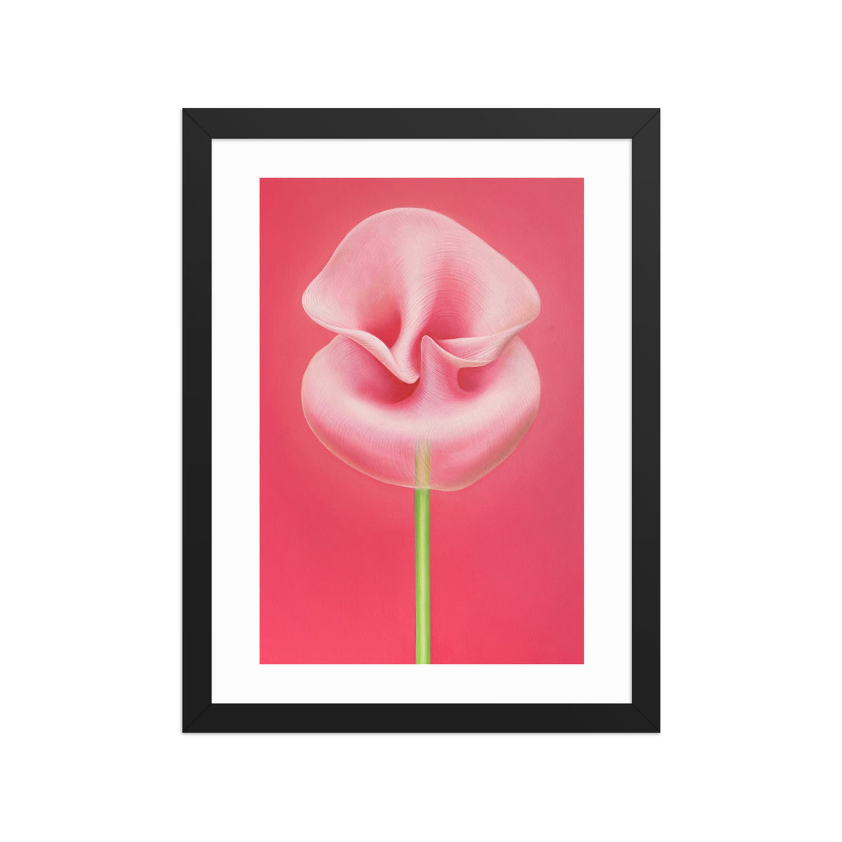 MEFREEK Seth Jennemann Open Edition Print An Inheritance That Feels Like A Debt framed wall art featuring a soft pink calla-like flower against a vivid pink background, hyperreal surreal oil painting with smooth gradients and minimalist composition.