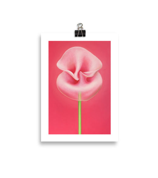 MEFREEK Seth Jennemann Open Edition Print An Inheritance That Feels Like A Debt fine art print showing a delicate pink sculptural flower with curved petals on a bright pink backdrop, hyperreal minimalist floral oil painting emphasizing fragility and tension.