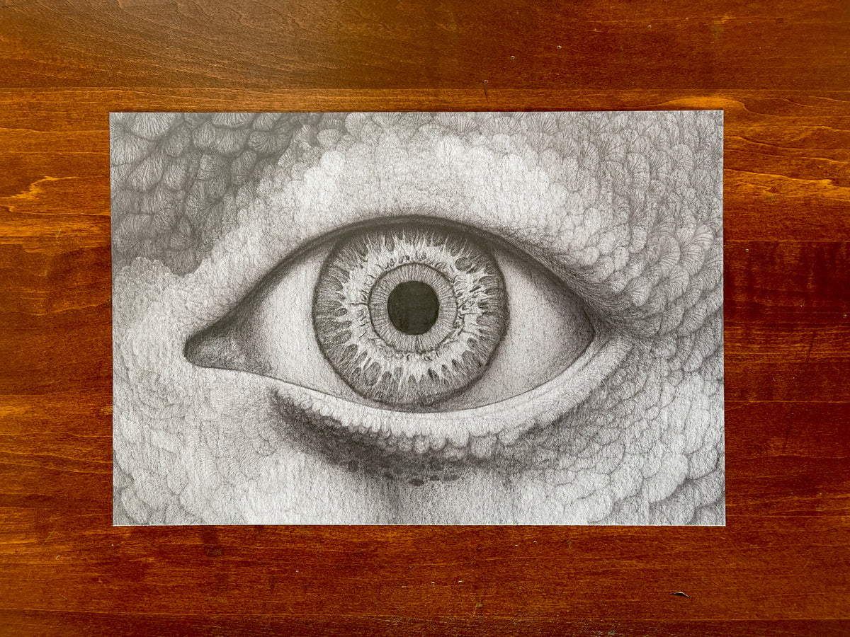 Seth Jennemann MEFREEK — Allergic Reaction, graphite pencil drawing in hyperreal surrealist style. A highly detailed human eye surrounded by clustered organic textures and delicate shading, creating an eerie balance between biological realism and dreamlike transformation.