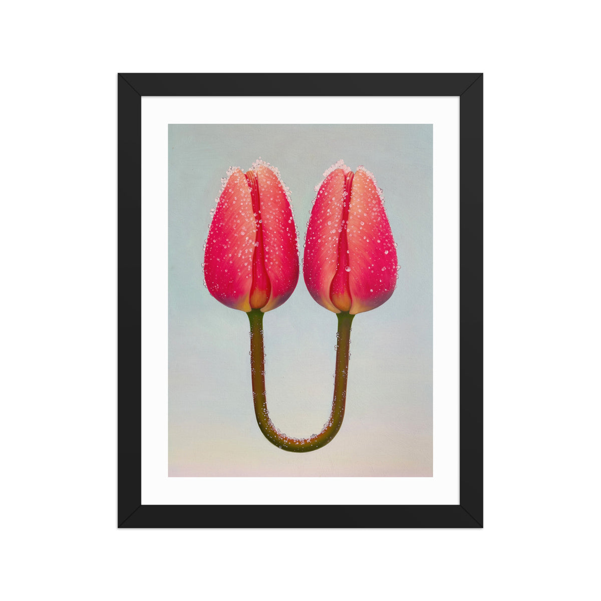 MEFREEK Seth Jennemann Open Edition Print A Tether Doesn’t Mean You’re Connected framed wall art featuring two pink tulip buds fused by a single curved green stem with dewdrops, surreal hyperreal oil painting on a pale gradient background, contemporary pop surrealism floral symbolism.