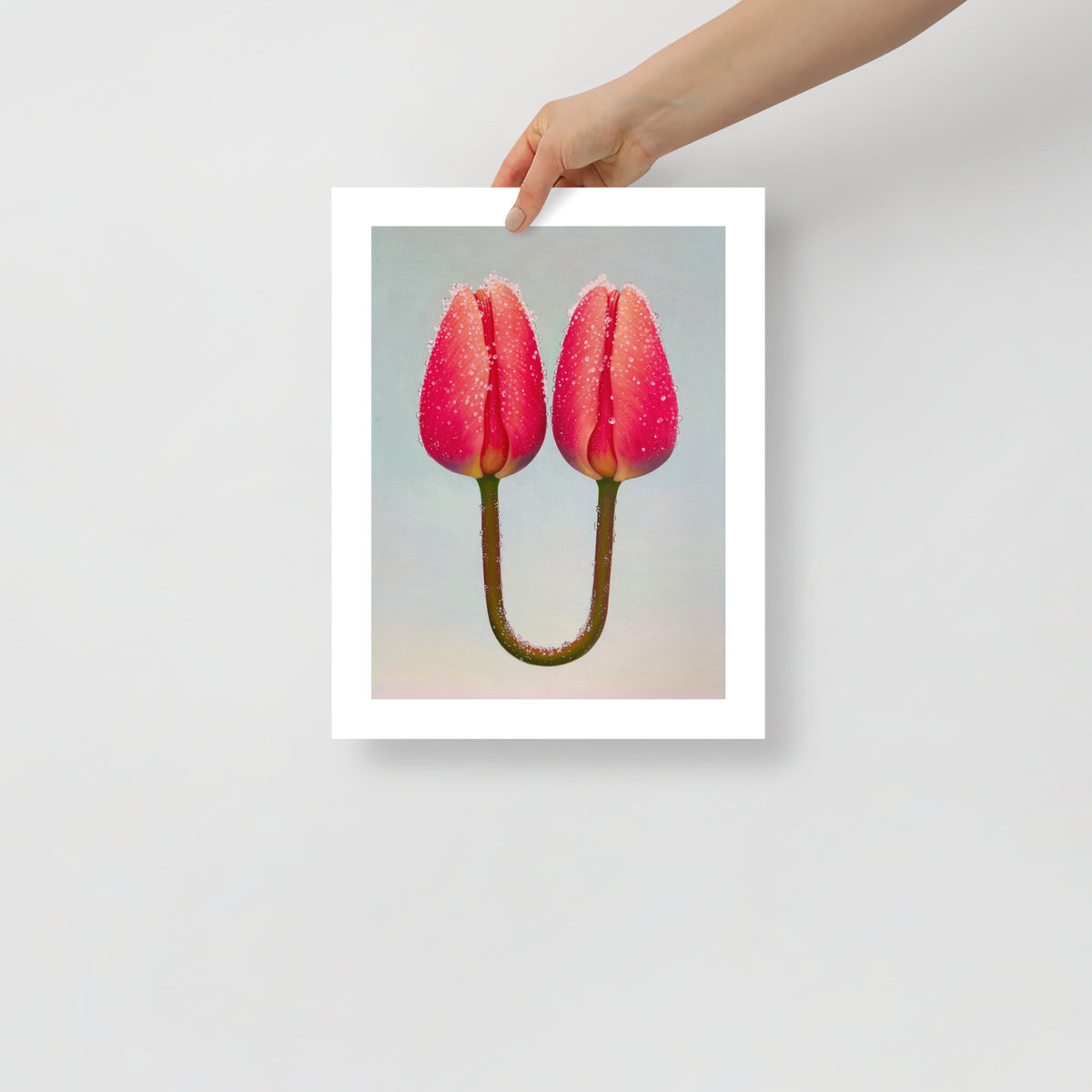 MEFREEK Seth Jennemann Open Edition Print A Tether Doesn’t Mean You’re Connected fine art print held by hand showing two fused pink tulips covered in dew, hyperreal surreal botanical imagery on soft neutral background, vibrant contemporary collectible print.