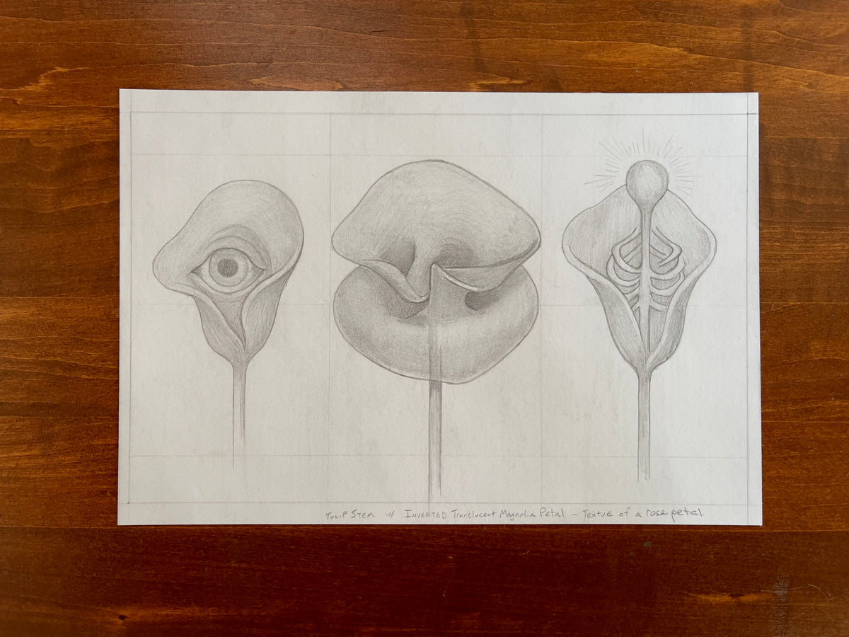 Seth Jennemann MEFREEK — An Inheritance That Feels Like A Debt, graphite pencil illustration in conceptual surrealist sketch style. Three hybrid botanical forms feature a flower with an eye, a folded organic bloom, and a glowing skeletal petal, merging plant anatomy with human symbolism in precise tonal detail.