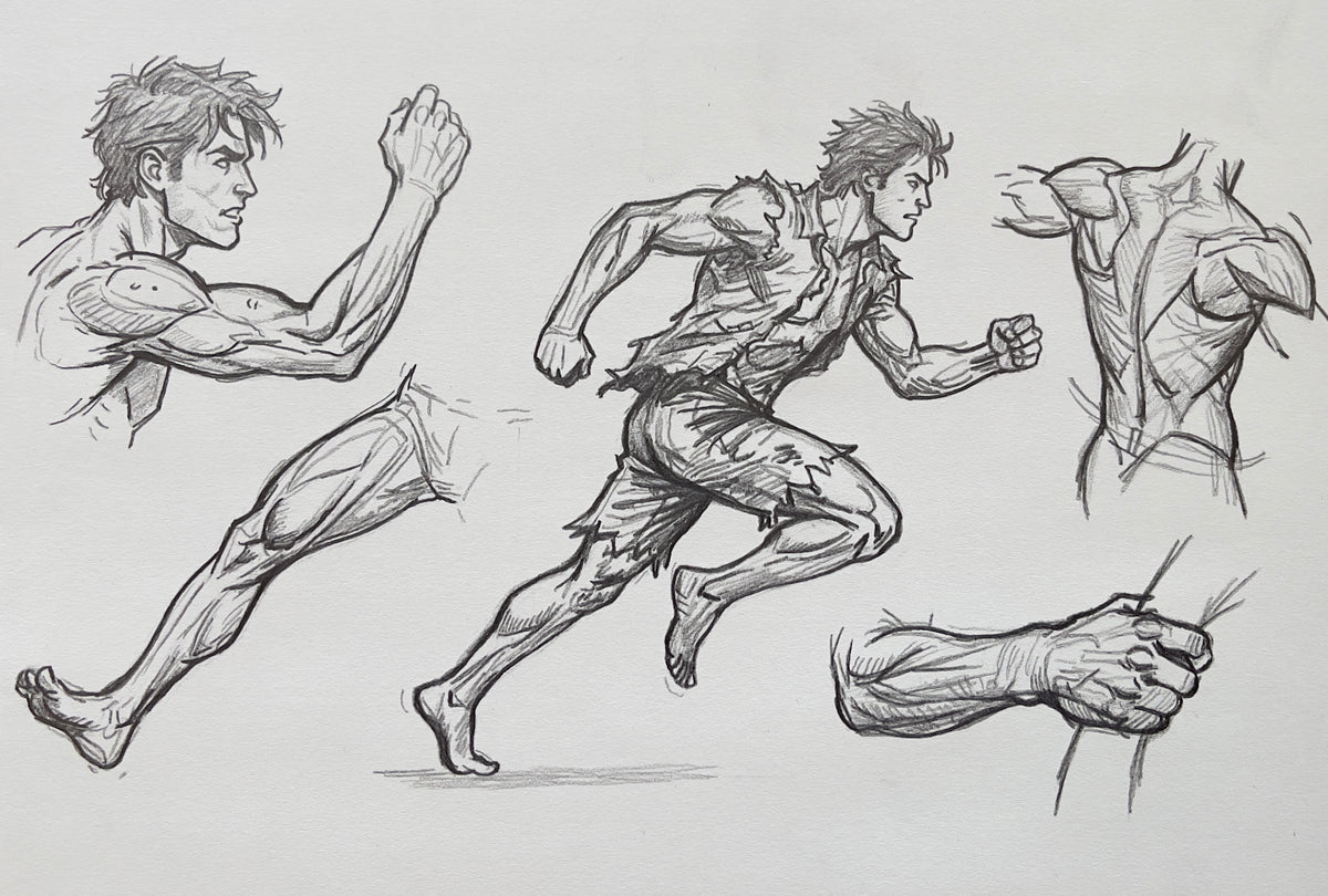MEFREEK Seth Jennemann Dynamic Anatomy Study featuring a muscular male figure in motion alongside detailed sketches of an arm leg torso and clenched hand emphasizing structure movement and comic style line work on textured paper