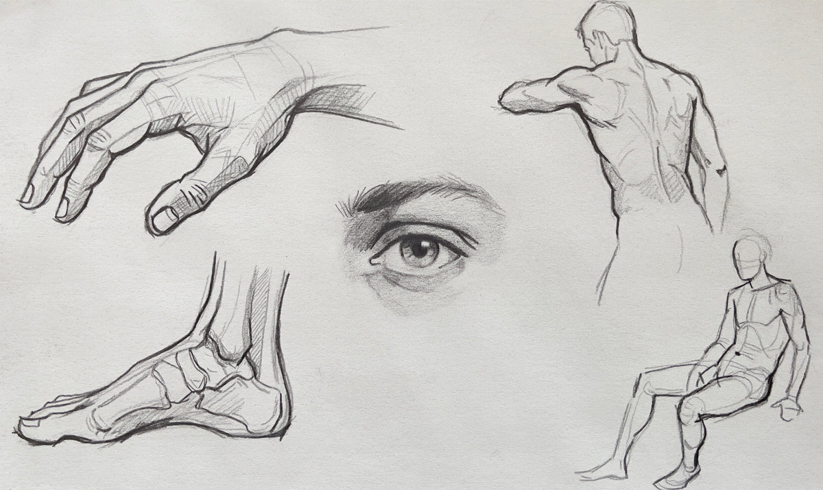 MEFREEK Seth Jennemann Graphite Pencil Drawing anatomical study sheet featuring hand foot eye and male figure variations emphasizing structure proportion and observational detail on textured paper