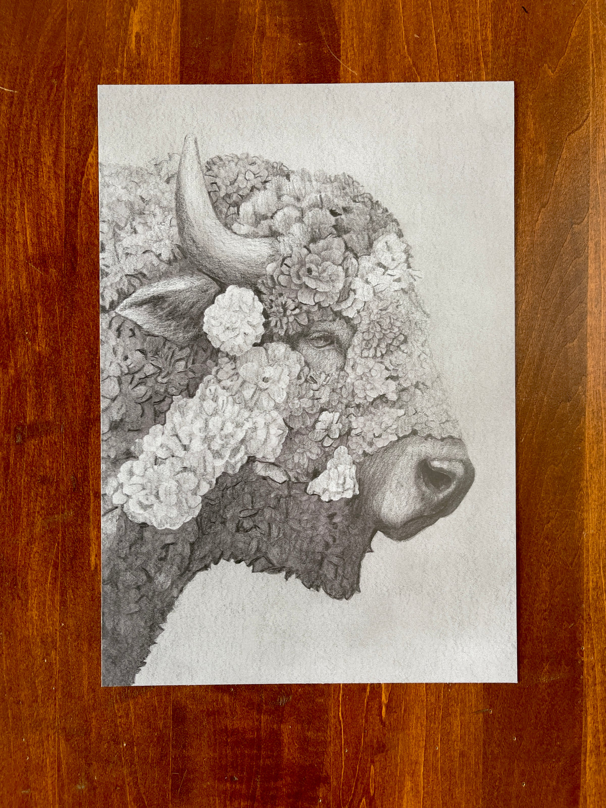 Seth Jennemann MEFREEK – “Armor For A Hopeless Charge” – graphite drawing in hyperreal pop surrealism style. A bison’s head merges with dense floral textures, transforming its fur into layered blossoms and petals, fusing strength and fragility in intricate grayscale detail.
