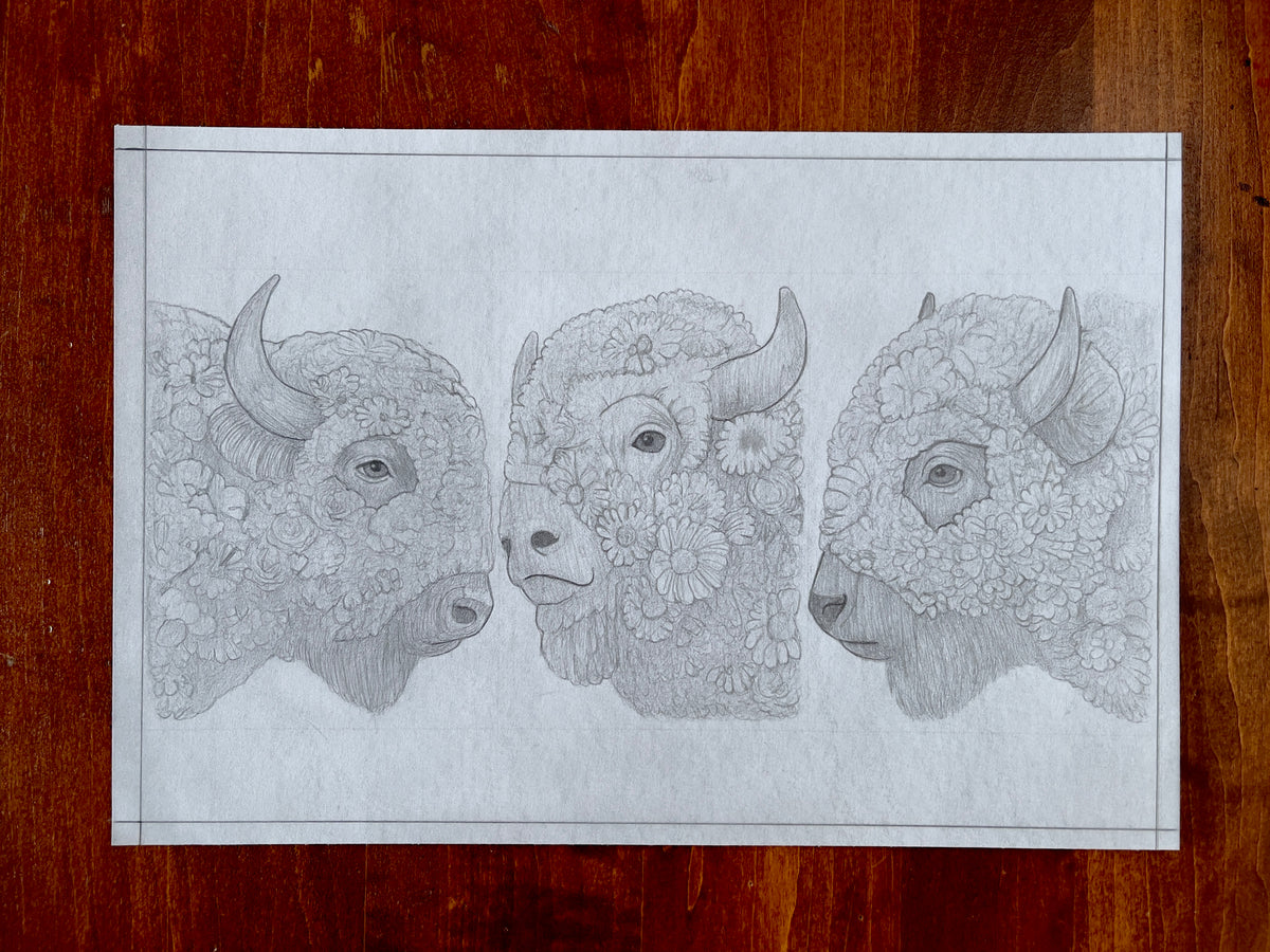 Seth Jennemann MEFREEK – “Bison” – pencil croquis drawing in contemporary surreal style. Three bison heads rendered in profile are adorned with unique floral patterns, blending anatomical precision with botanical design across a minimalist white background.
