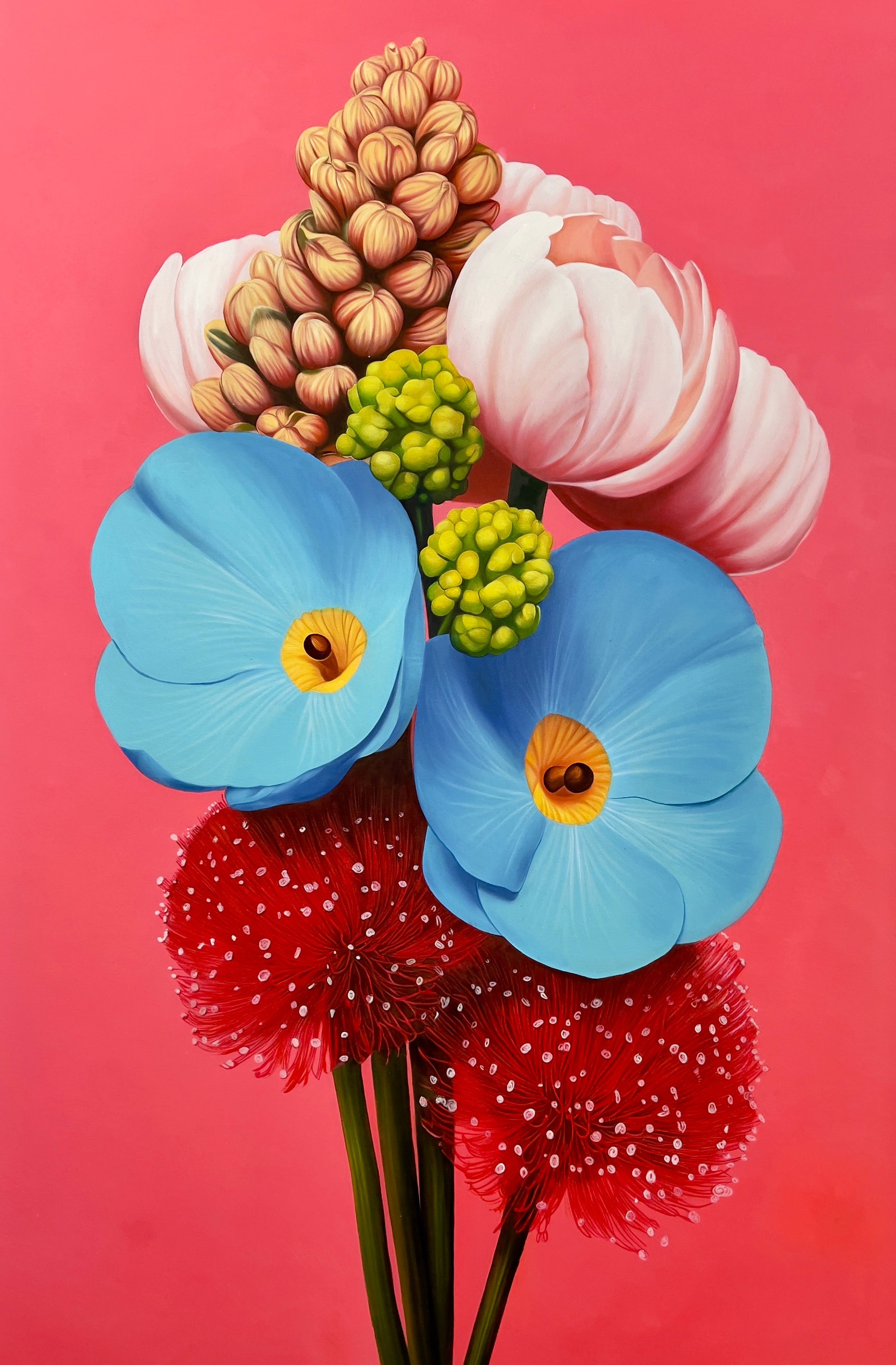 Seth Jennemann | 