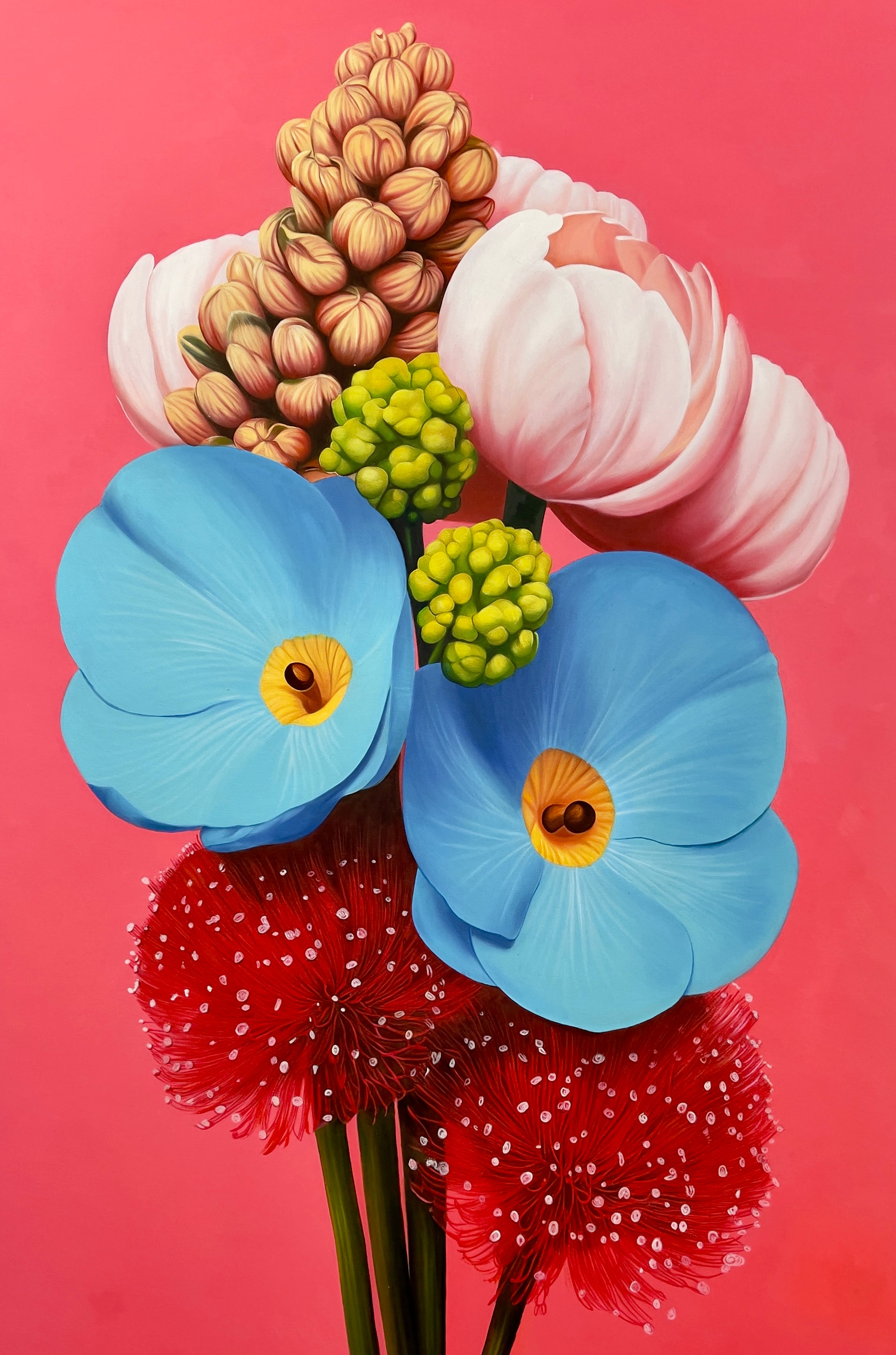 Seth Jennemann | 