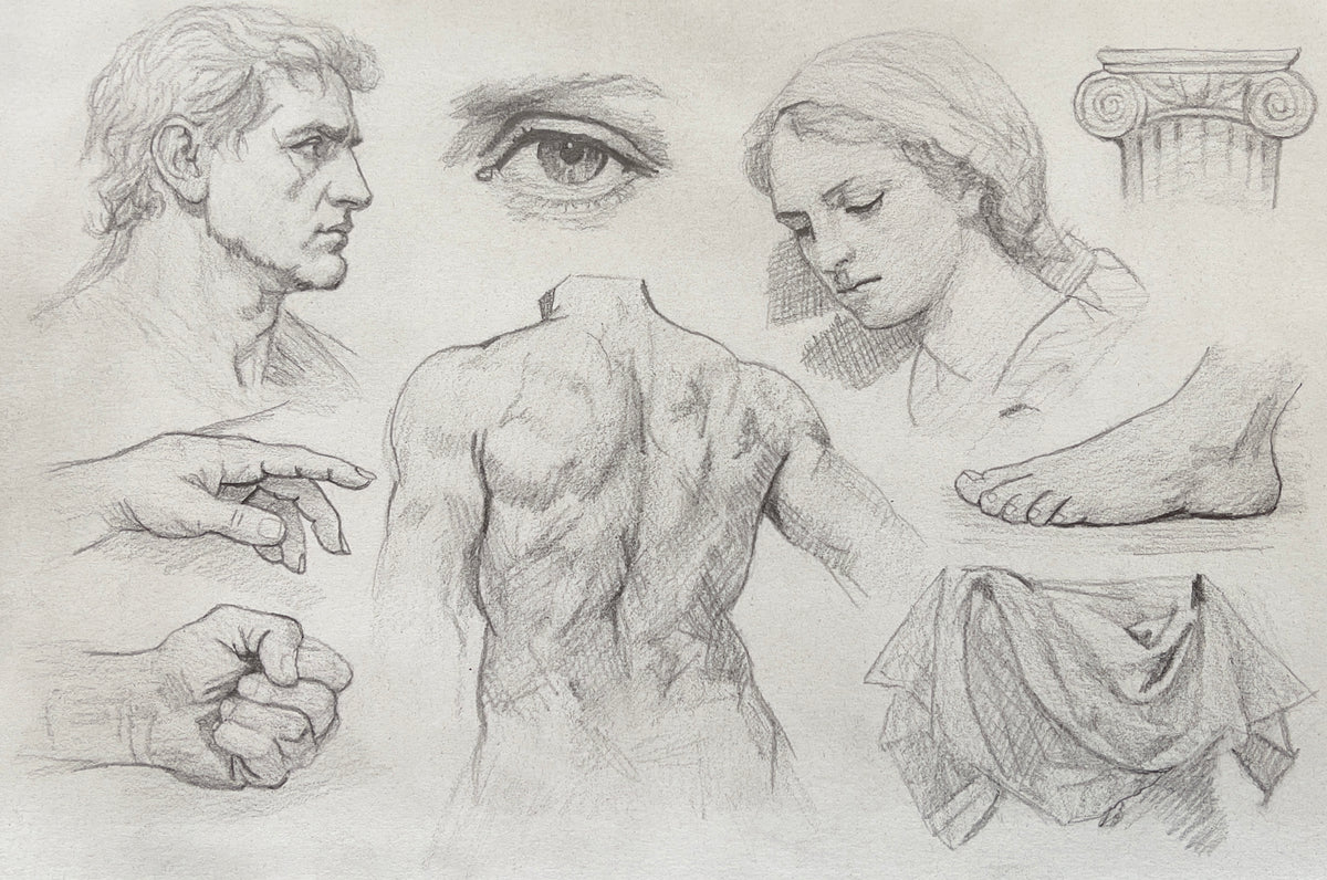 MEFREEK Seth Jennemann Graphite Pencil Drawing of a classical anatomy study featuring a male head profile an eye study expressive hand gestures a detailed back torso foot study and drapery folds alongside a classical column emphasizing foundational drawing skills and form on textured paper