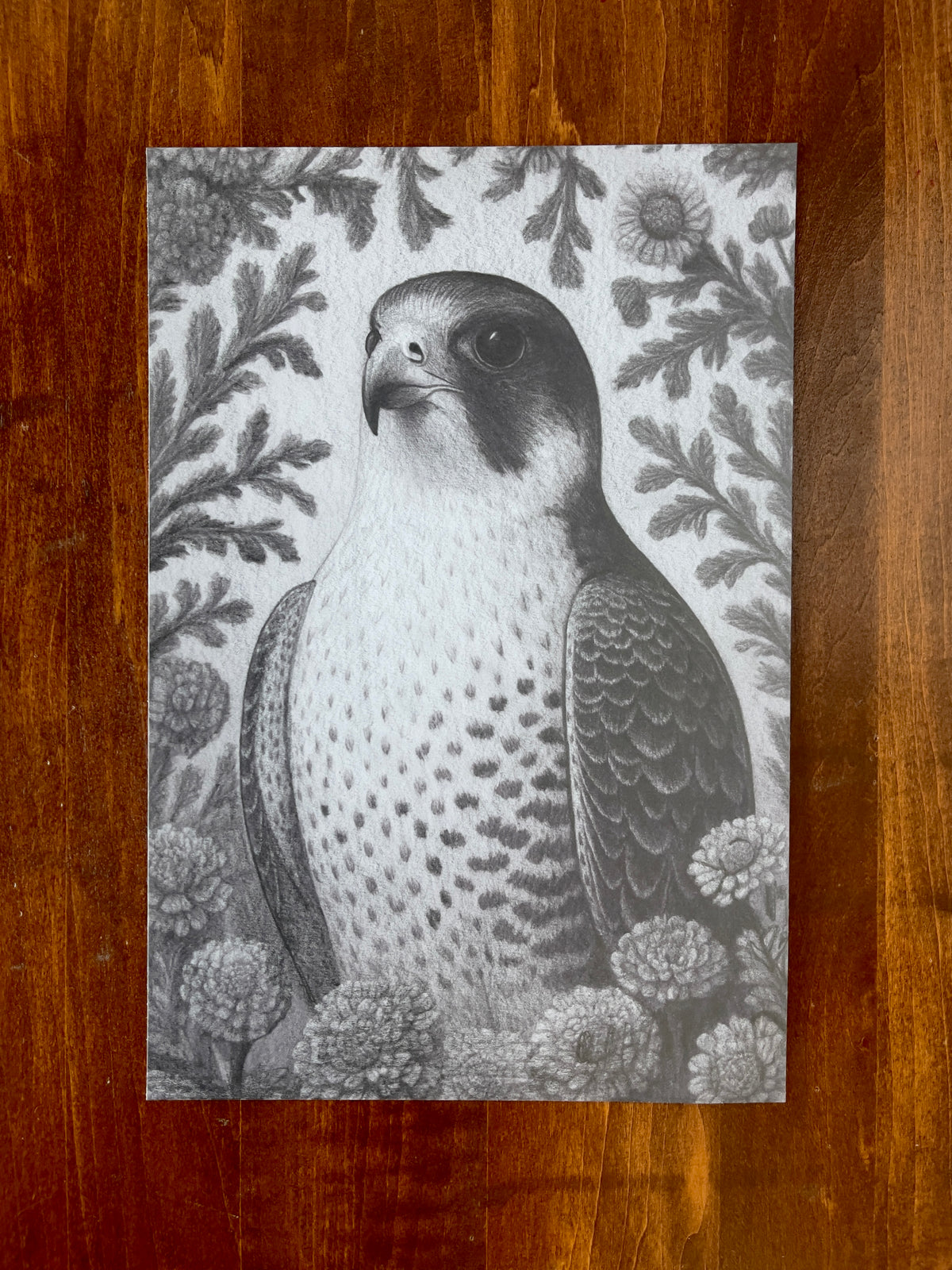 MEFREEK Seth Jennemann Claws For Concern graphite drawing of a falcon surrounded by flowers and foliage, preparatory drawing for oil painting