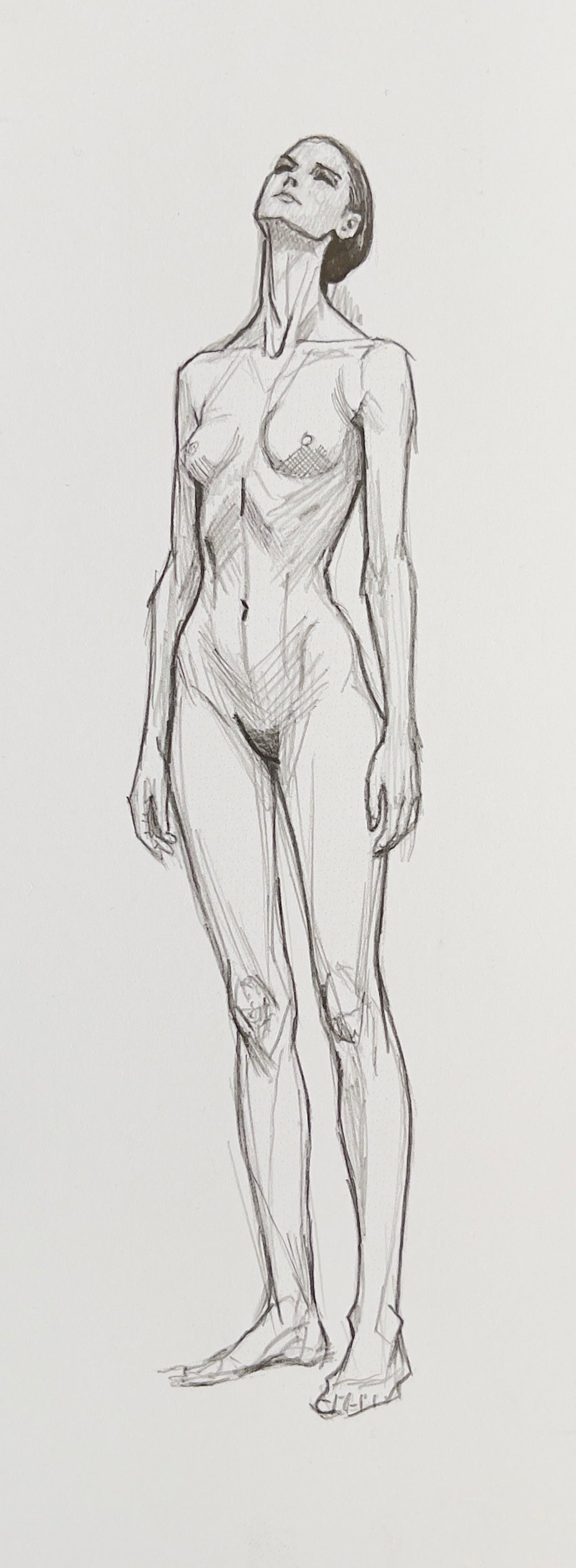 MEFREEK Seth Jennemann Stylized Figure Drawing of an elongated nude female form with extended proportions lifted chin and upward gaze emphasizing elegance structure and simplified shading on textured paper