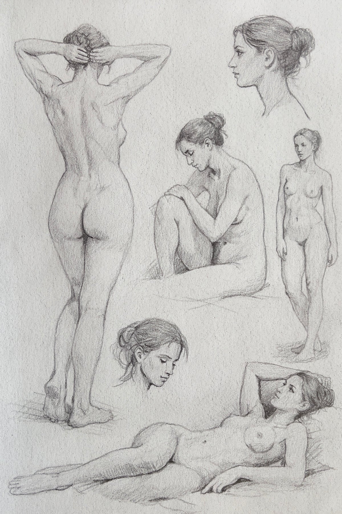 MEFREEK Seth Jennemann Graphite Figure Study featuring multiple nude female poses including back view, seated and reclining forms, and head studies emphasizing anatomy, proportion, and soft tonal shading on textured paper