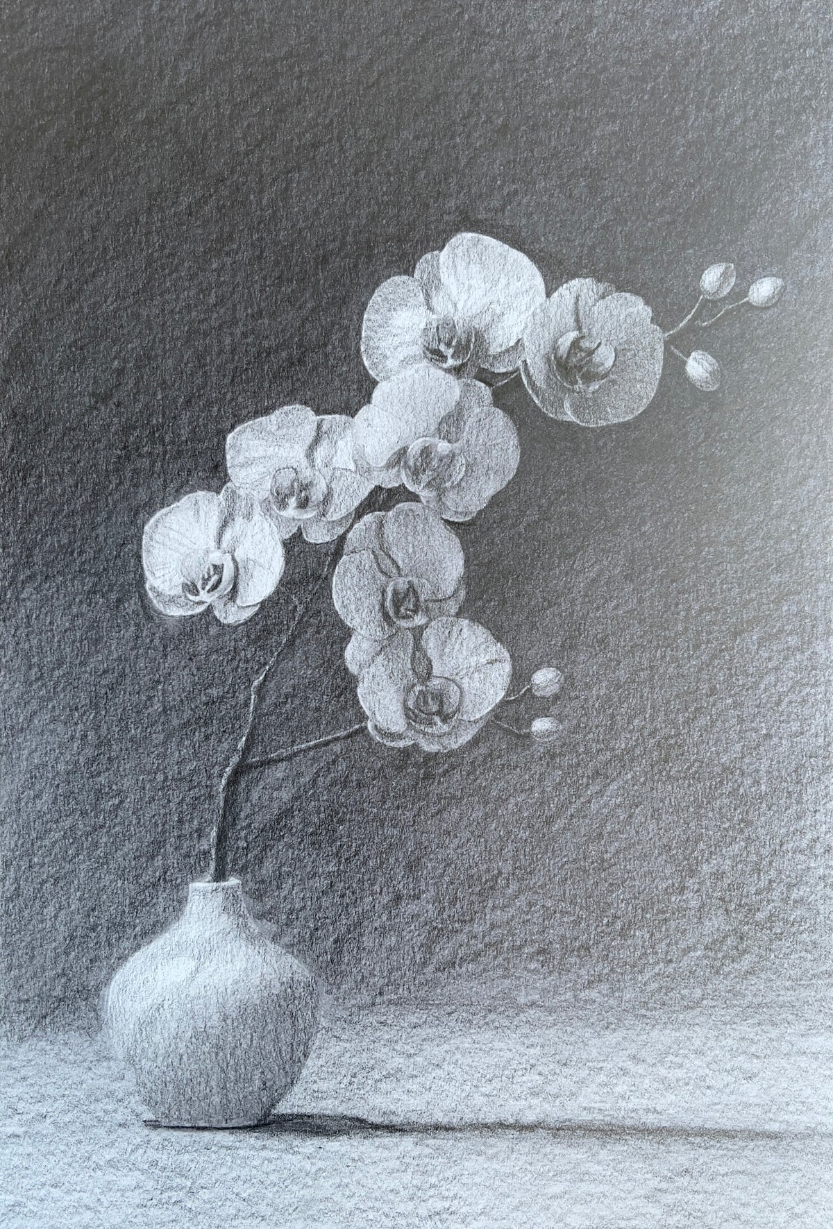 MEFREEK Seth Jennemann Graphite Pencil Drawing of a minimalist orchid arrangement in a small ceramic vase, rendered in smooth grayscale with soft gradients, delicate petals, and subtle lighting that creates a calm still life composition with strong contrast against a dark background
