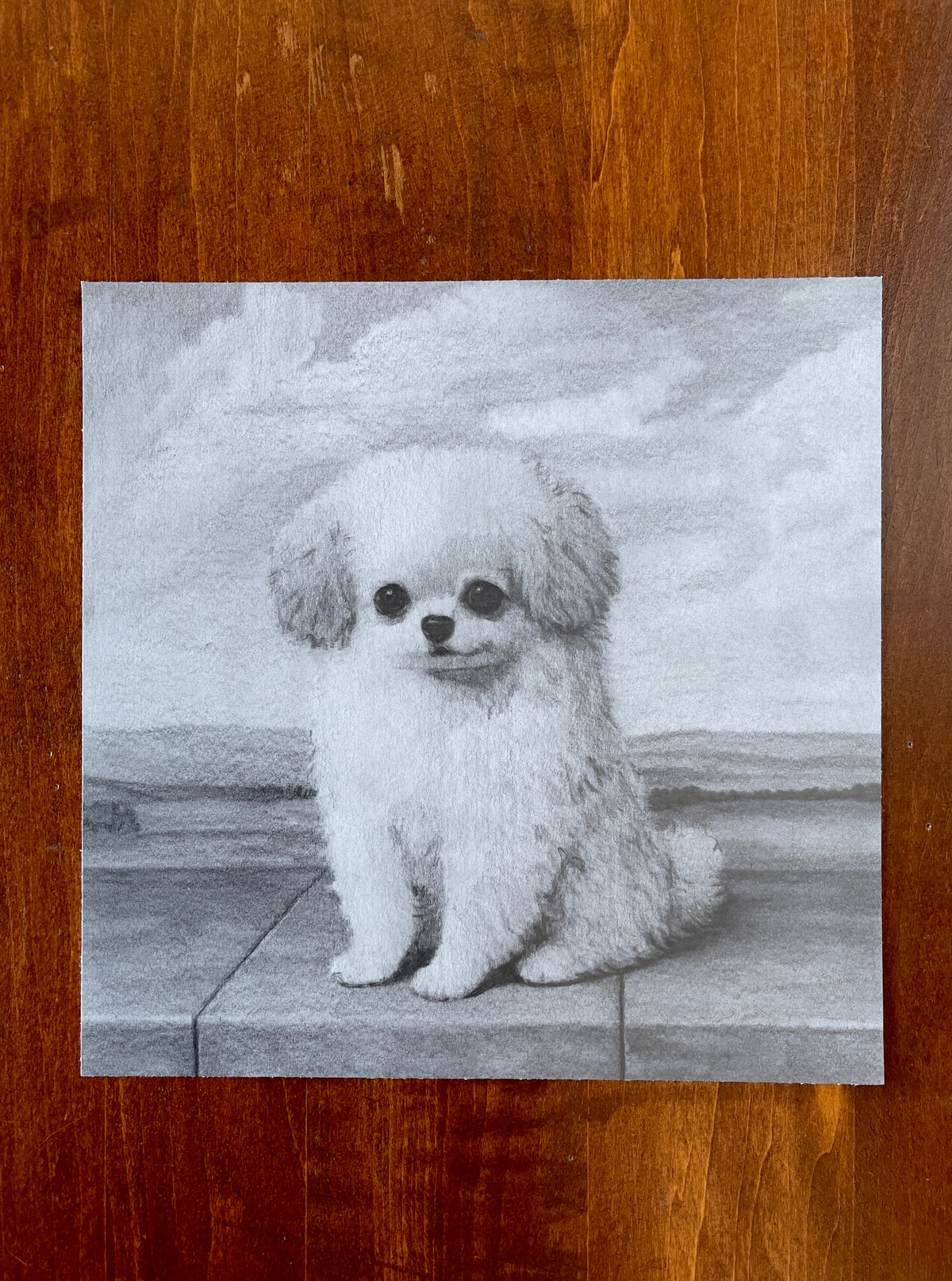 Good Girl Seth Jennemann Dog Drawing