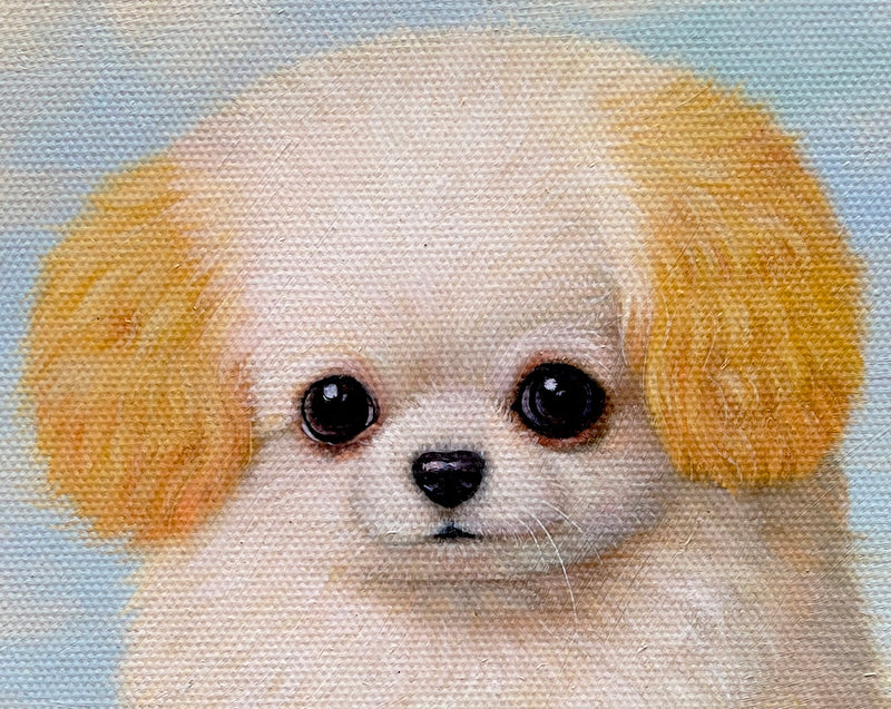 MEFREEK Seth Jennemann Painting Good Girl close up oil painting of a small white and golden dog in the style of an old master painting, large dark eyes, soft textured canvas, classical portrait composition with muted sky background and traditional oil painting brushwork.