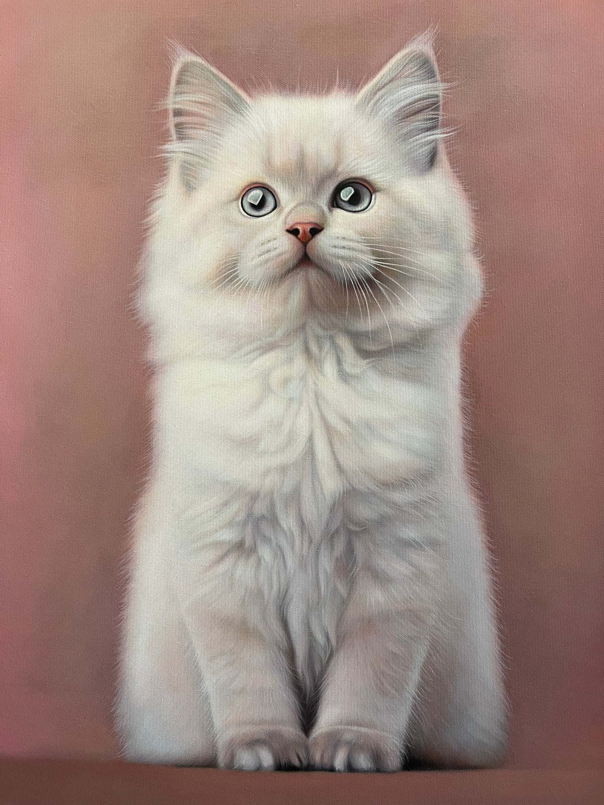 MEFREEK Seth Jennemann I Bought Him Toys But He Plays With A Ghost hyperreal oil painting of a white fluffy kitten with gray eyes sitting against a muted pink background, detailed fur texture, soft lighting, realistic animal portrait painting on canvas