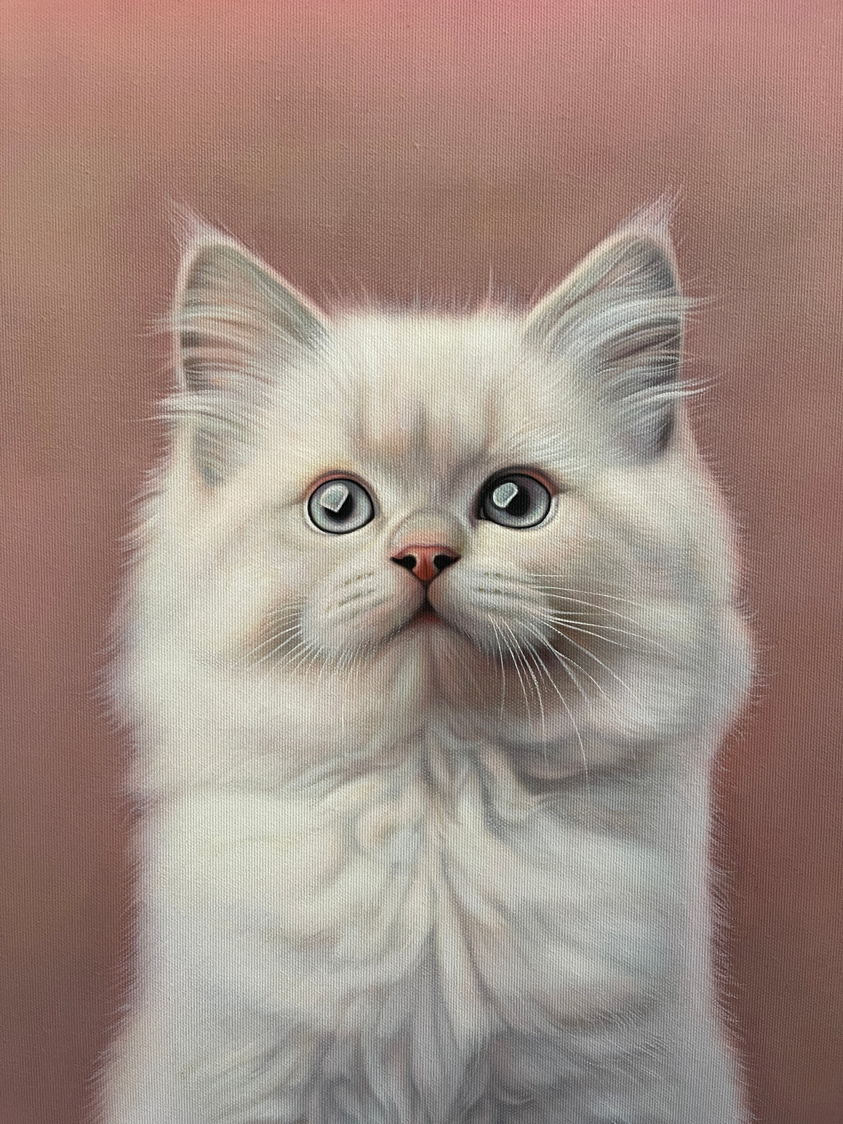 MEFREEK Seth Jennemann I Bought Him Toys But He Plays With A Ghost hyperreal oil painting of a white fluffy kitten full body portrait sitting upright, soft fur detail, muted pink background, realistic animal painting on canvas