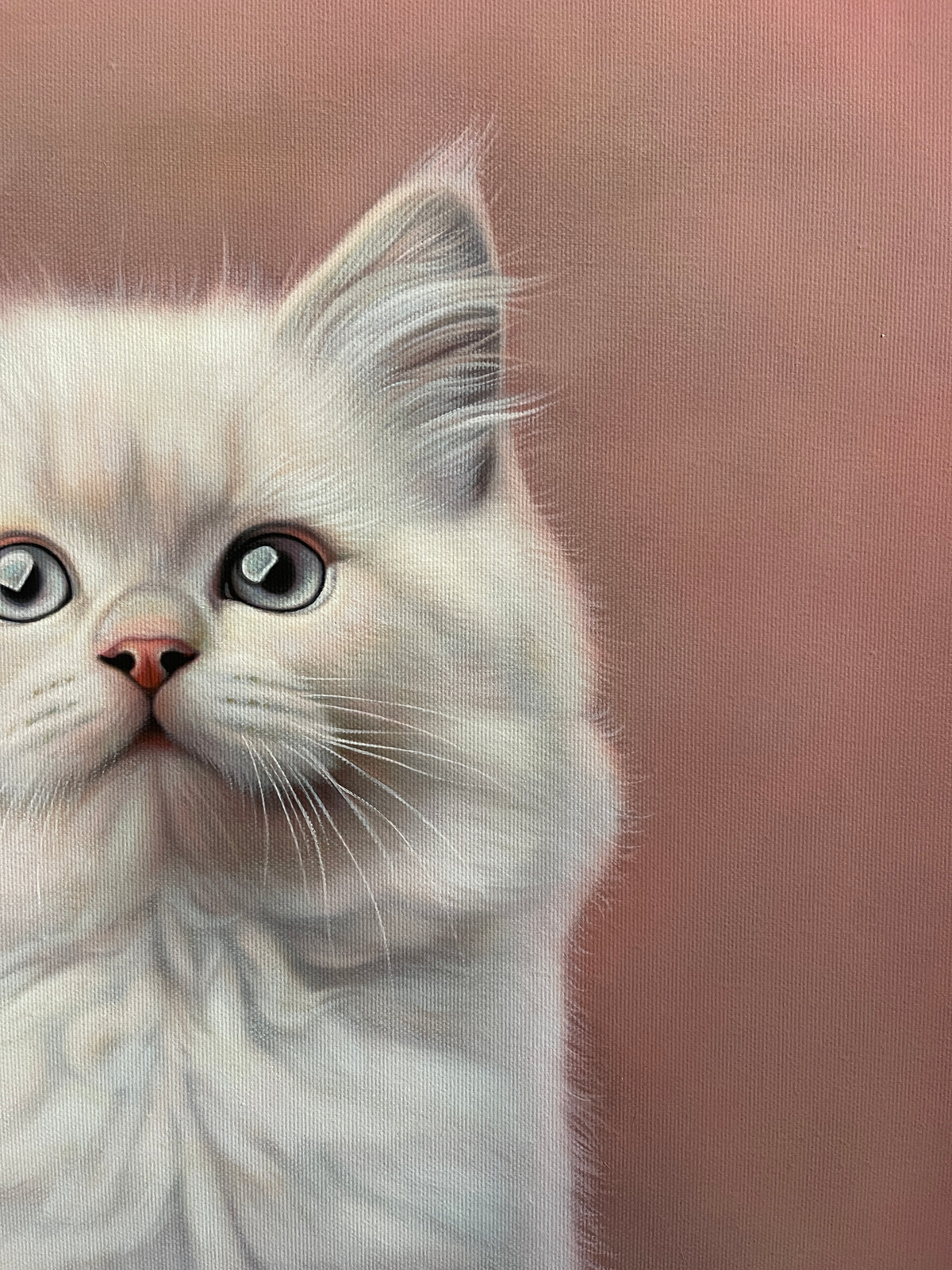 MEFREEK Seth Jennemann I Bought Him Toys But He Plays With A Ghost close up hyperreal oil painting of a white fluffy kitten face with gray eyes and pink nose, soft fur detail, muted pink background, realistic animal portrait painting on canvas