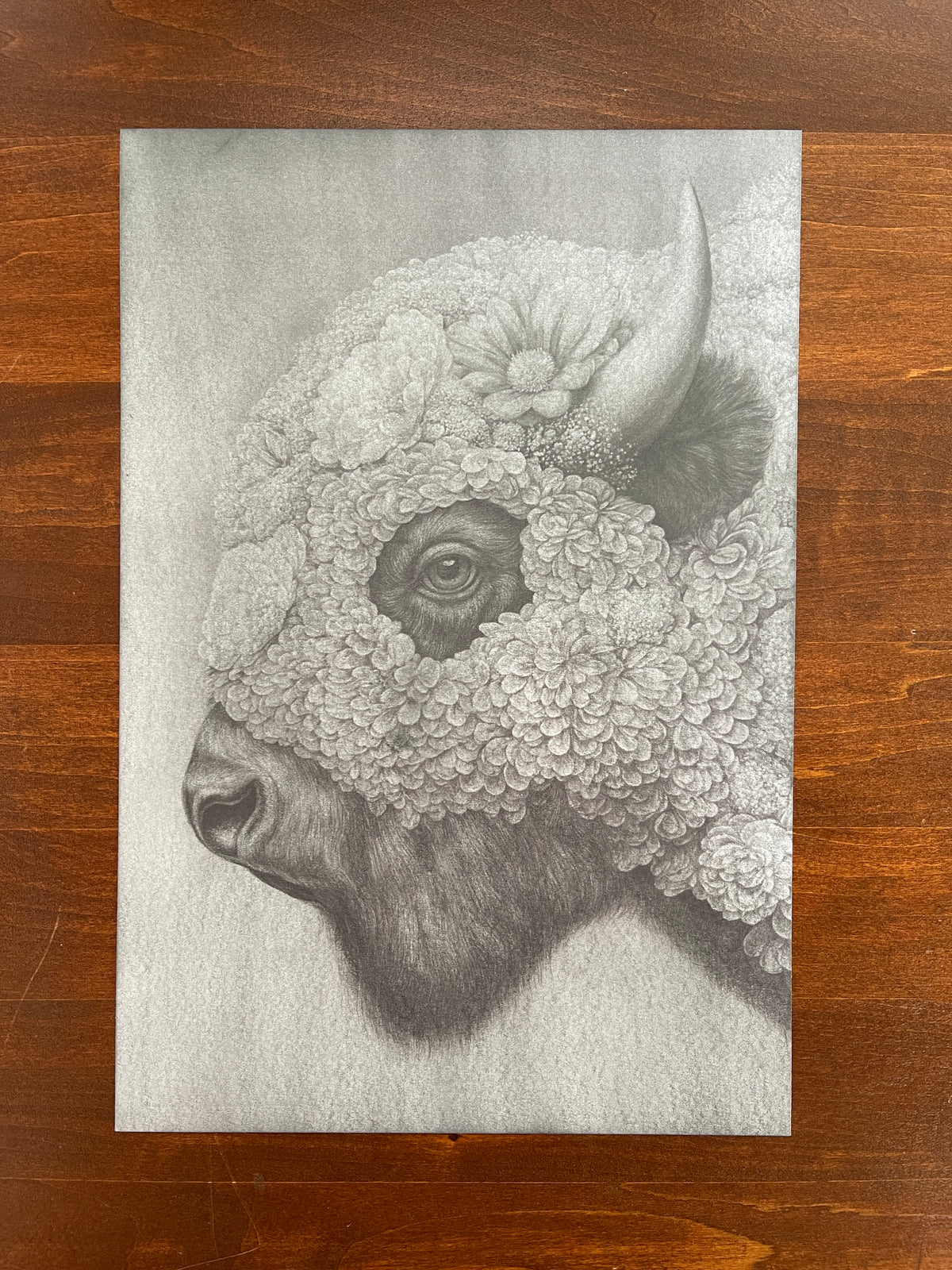 Seth Jennemann MEFREEK – “I Was Just The Frame” – graphite drawing in hyperreal pop surrealism style. A bison’s head is enveloped in layers of blooming flowers, its single visible eye framed by petals and horn, blending natural strength with haunting botanical elegance.
