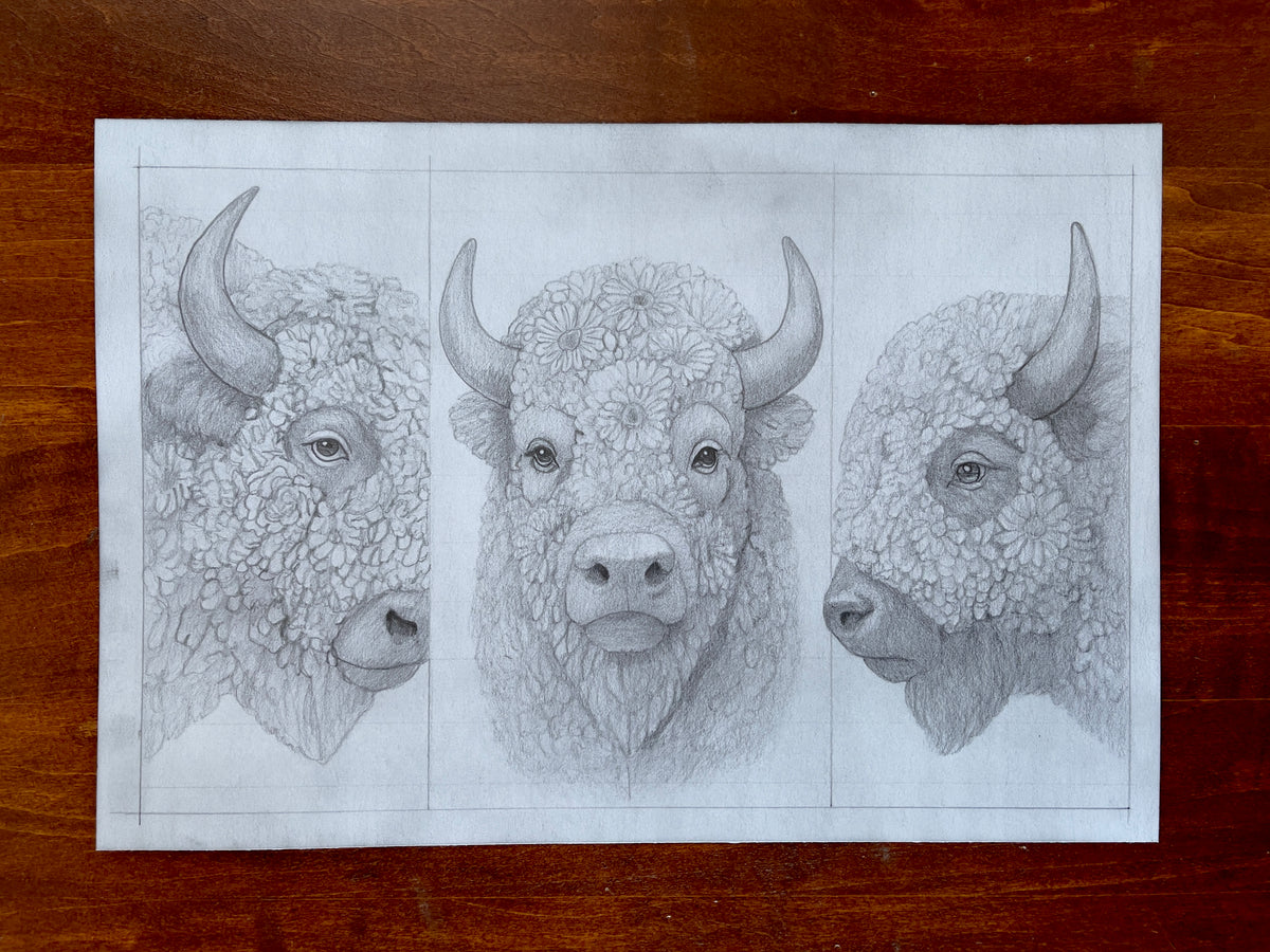 MEFREEK Seth Jennemann Intentional But Not On Purpose preliminary pencil sketch showing multiple bison head studies with floral texture variations and compositional exploration, conceptual development drawing