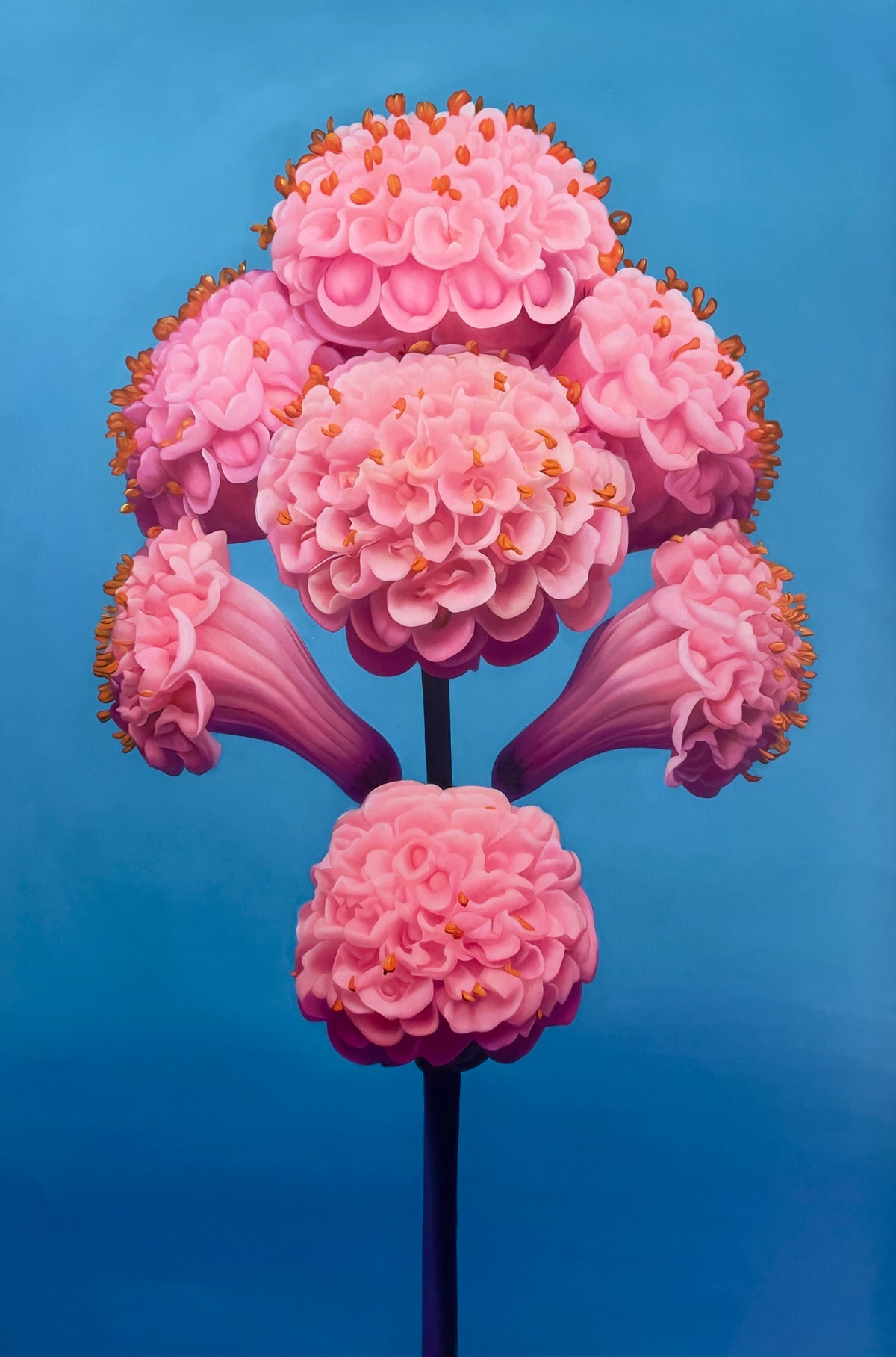 MEFREEK Seth Jennemann It Tastes Like A Compliment If You're Starving hyperreal oil painting of pink sculptural flower clusters arranged on a single stem against a blue gradient background, surreal botanical realism painting
