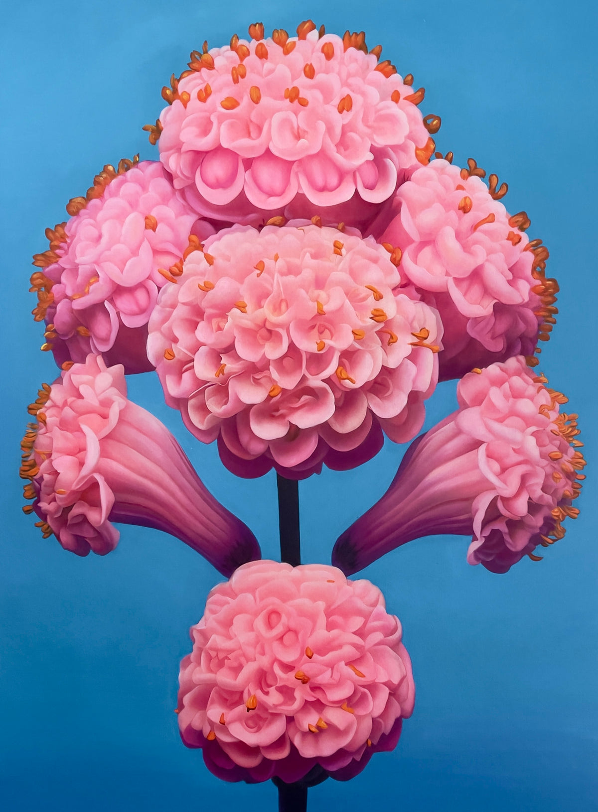MEFREEK Seth Jennemann It Tastes Like A Compliment If You're Starving hyperreal oil painting of pink sculptural flower clusters arranged on a single stem against a blue gradient background, surreal botanical realism painting