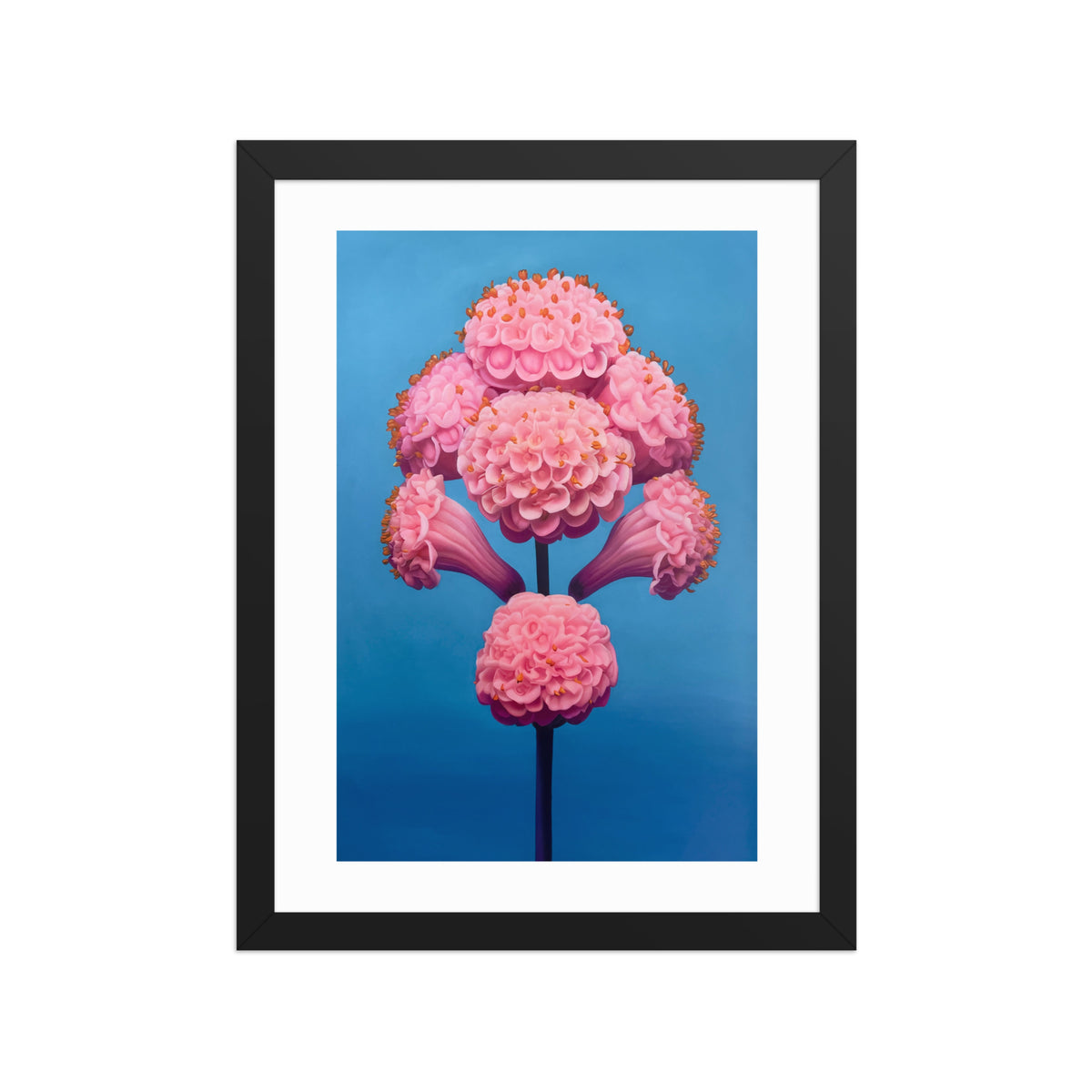 MEFREEK Seth Jennemann Open Edition Framed Print It Tastes Like, surreal botanical composition of clustered pink blossoms arranged in a symmetrical sculptural form with rounded petals and subtle golden accents, set against a smooth blue gradient background, contemporary fine art with soft texture and vivid color contrast