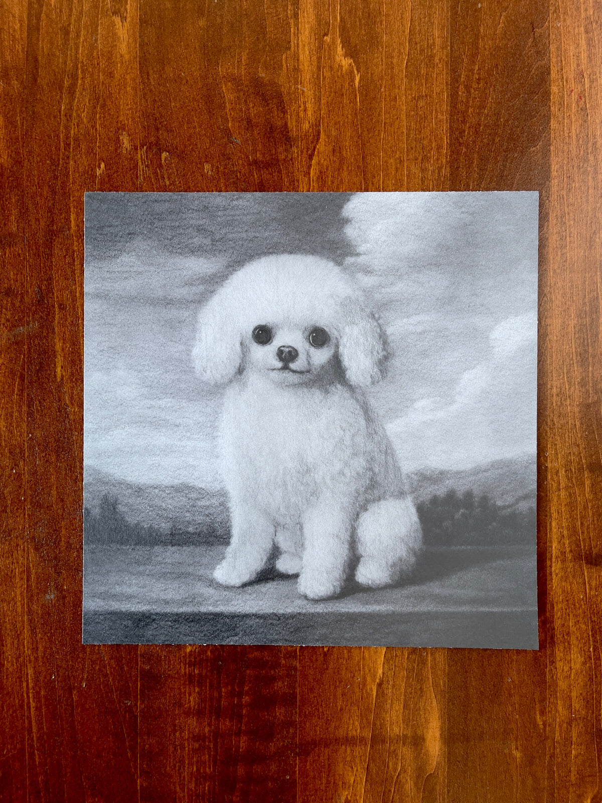 Look Dog Seth Jennemann Dog Drawing