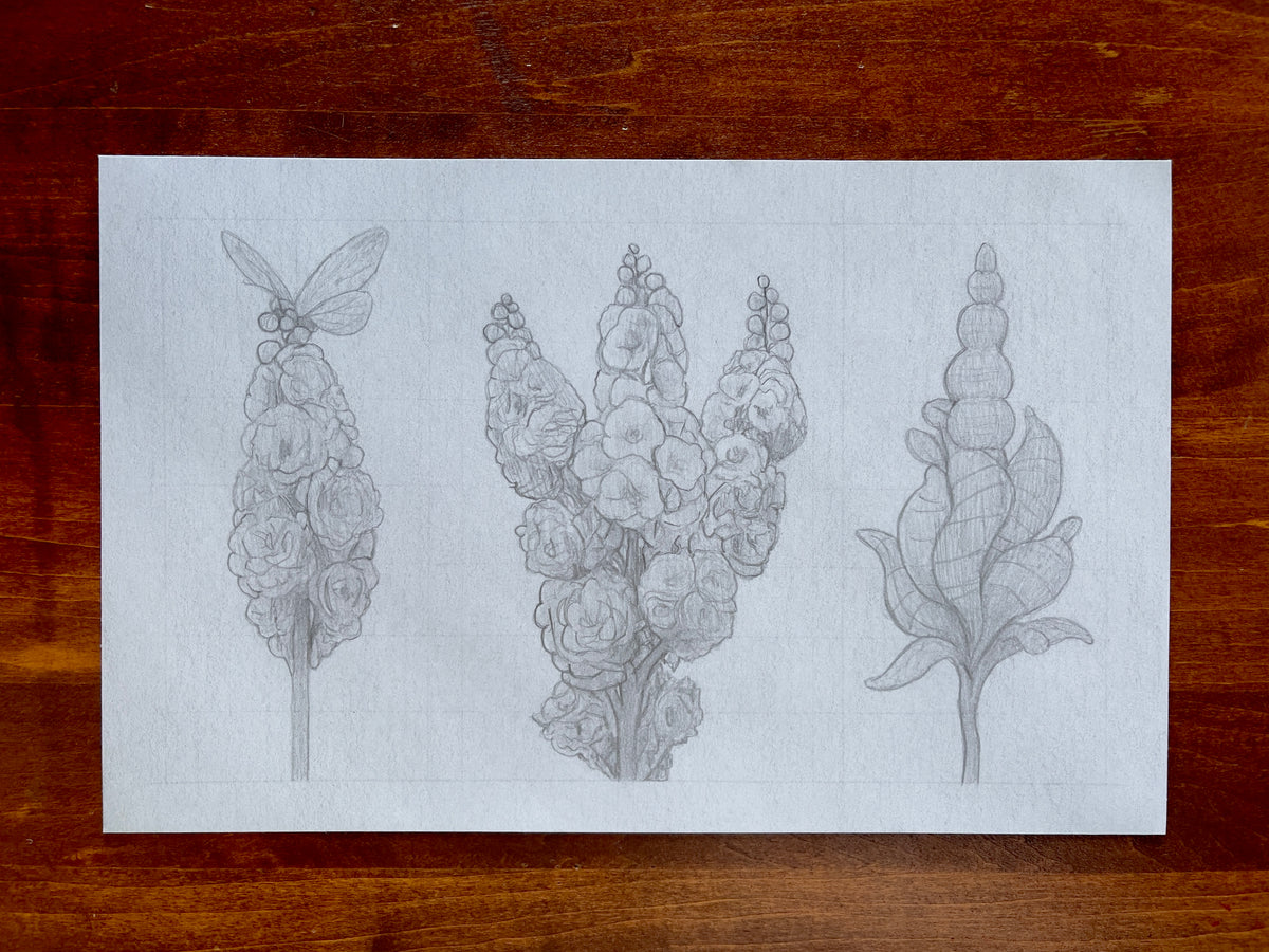 Seth Jennemann MEFREEK - Reaching For Relevance - graphite drawing in contemporary botanical surrealism style featuring three vertically composed floral forms with clustered petals, hybrid blossoms, and a delicate insect perched atop the left bloom.
