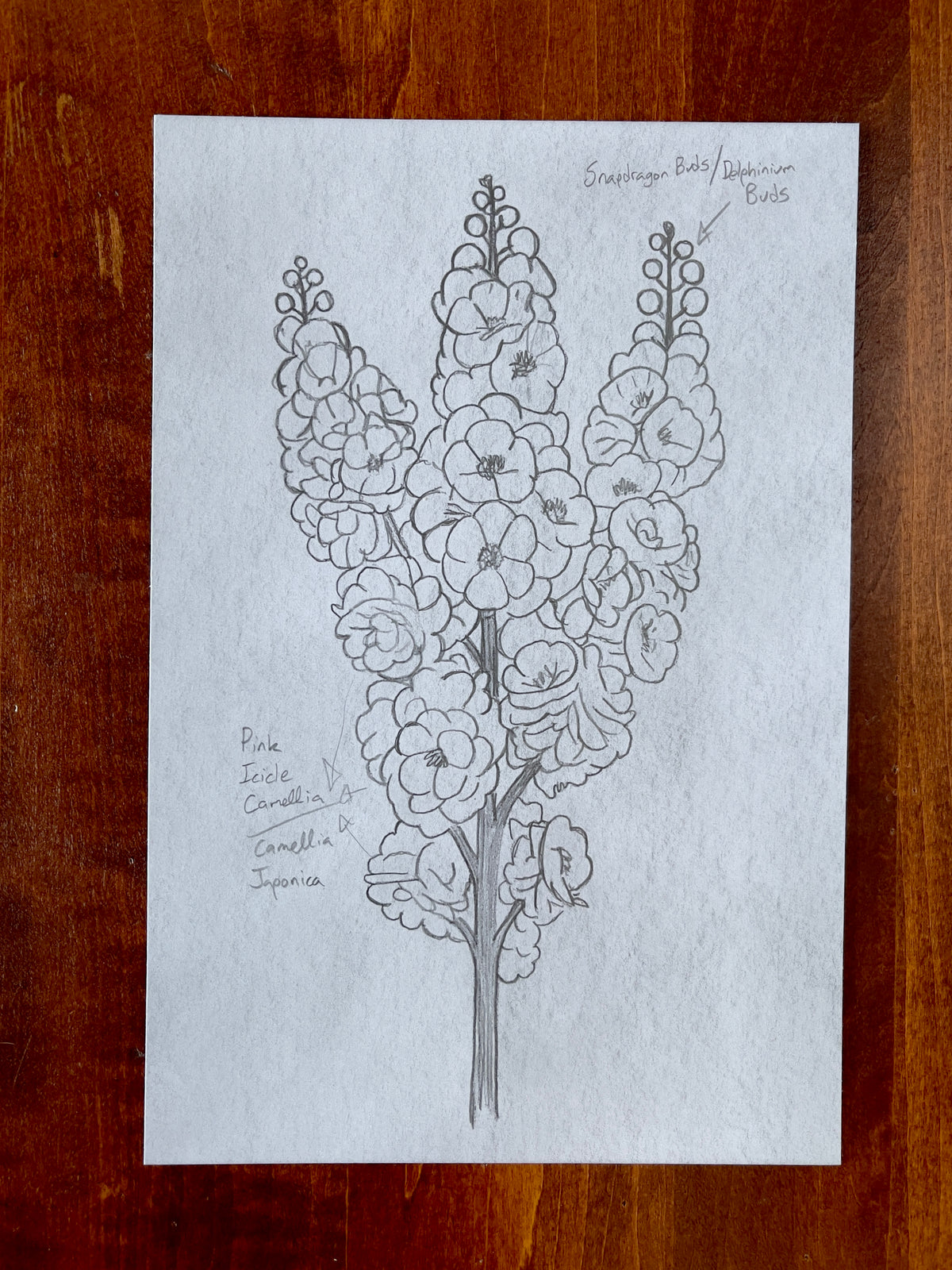 Seth Jennemann MEFREEK - Reaching For Relevance - pencil drawing in botanical concept style showing labeled hybrid flowers combining snapdragon and delphinium buds with camellia varieties, including handwritten plant annotations and compositional notes.
